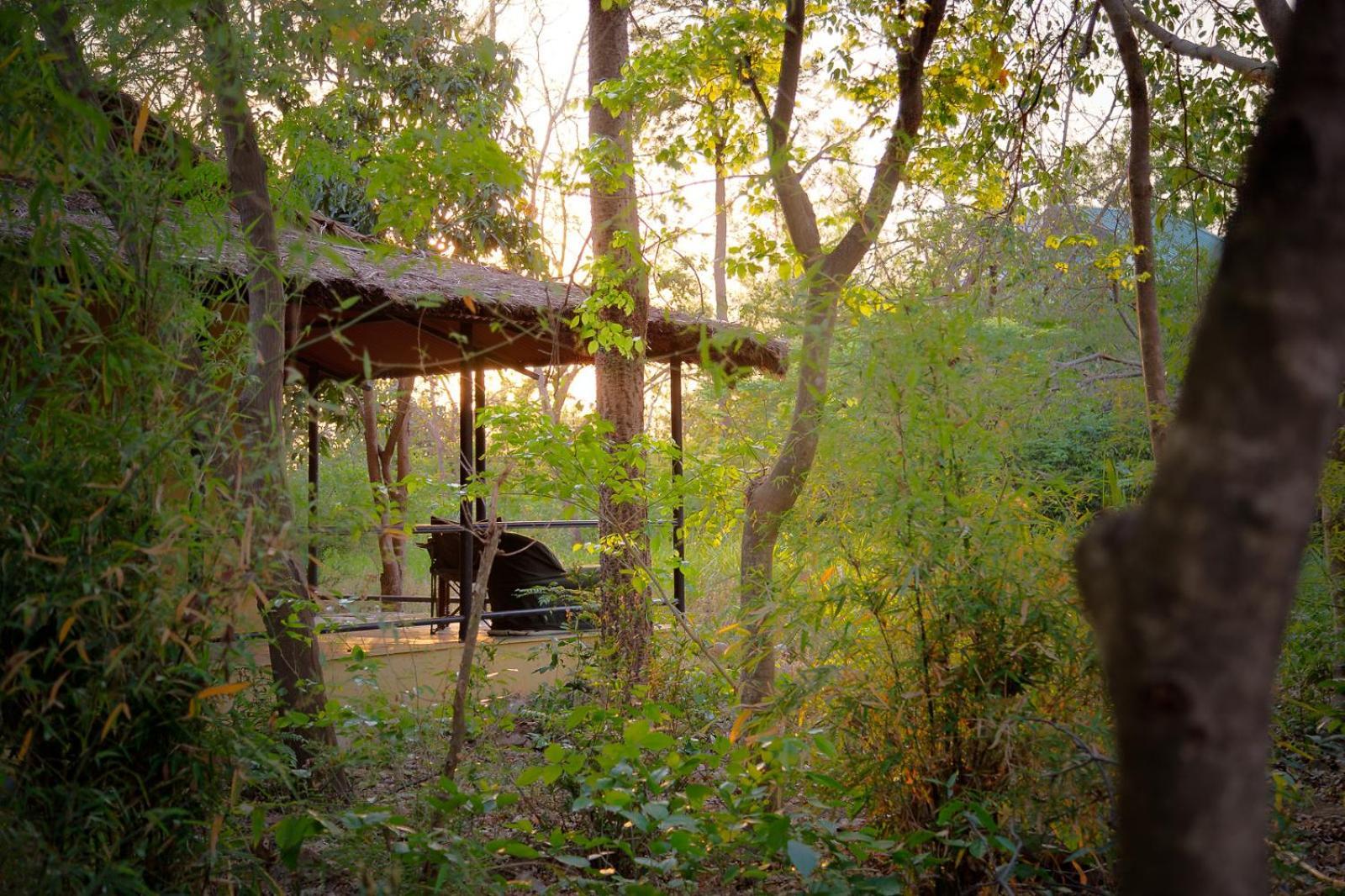 Hotel Jim'S Jungle Retreat Ramnagar  Esterno foto