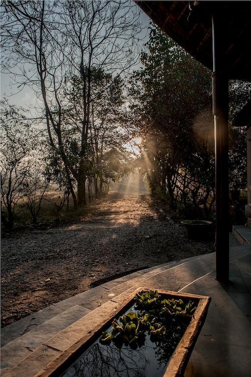 Hotel Jim'S Jungle Retreat Ramnagar  Esterno foto