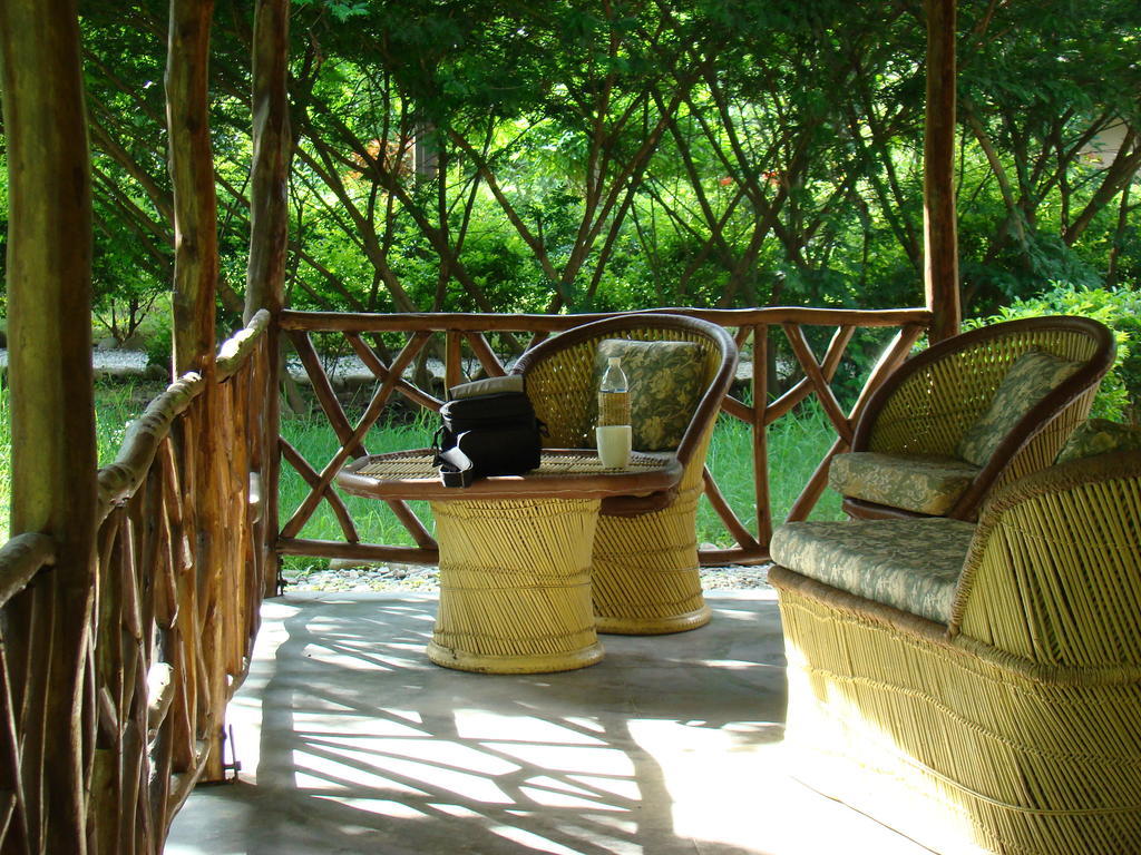 Hotel Jim'S Jungle Retreat Ramnagar  Camera foto