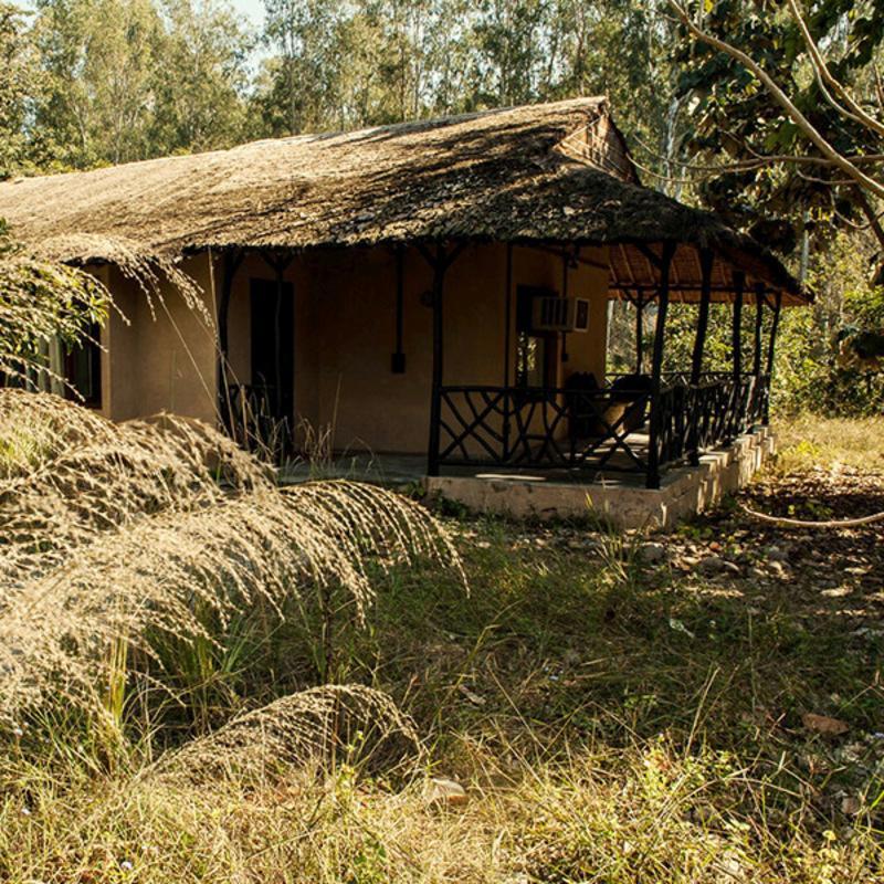 Hotel Jim'S Jungle Retreat Ramnagar  Esterno foto