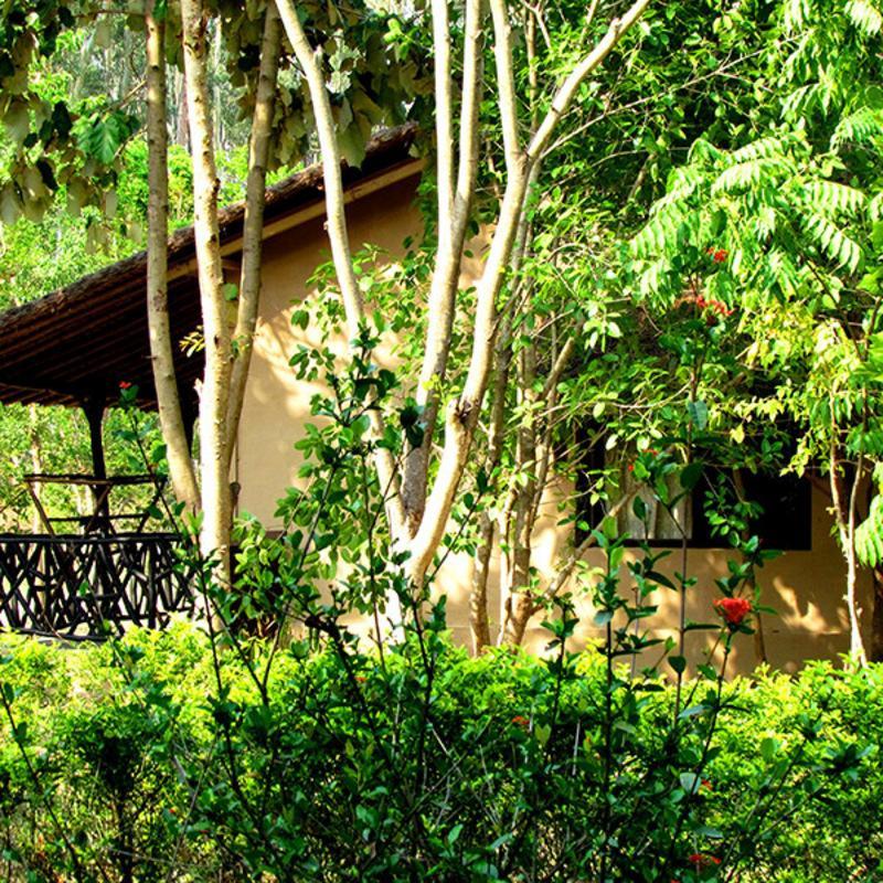 Hotel Jim'S Jungle Retreat Ramnagar  Esterno foto