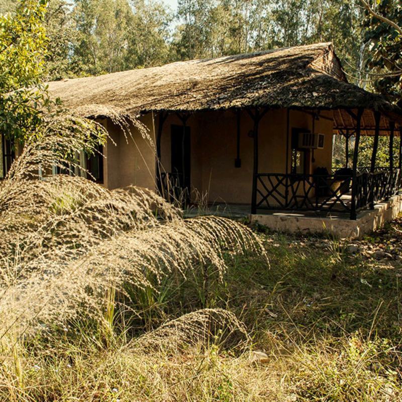 Hotel Jim'S Jungle Retreat Ramnagar  Esterno foto