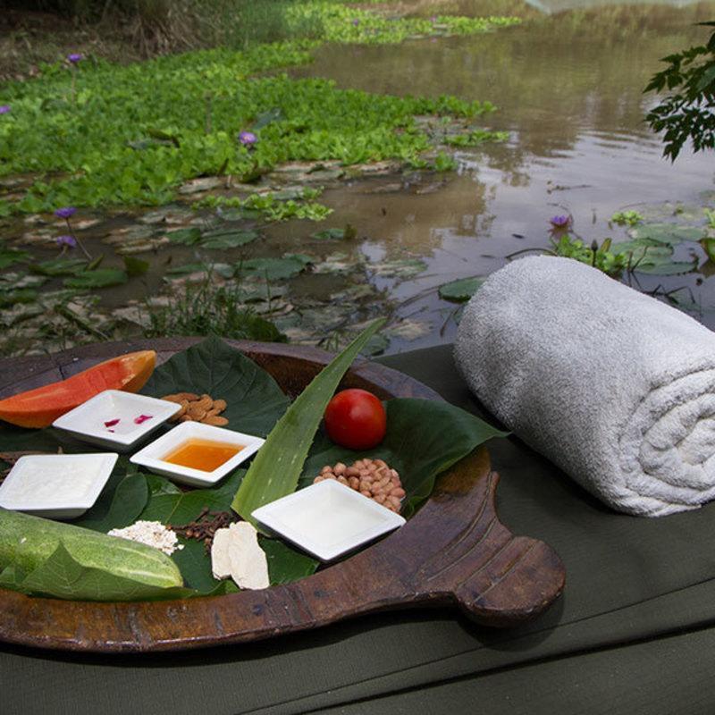 Hotel Jim'S Jungle Retreat Ramnagar  Esterno foto