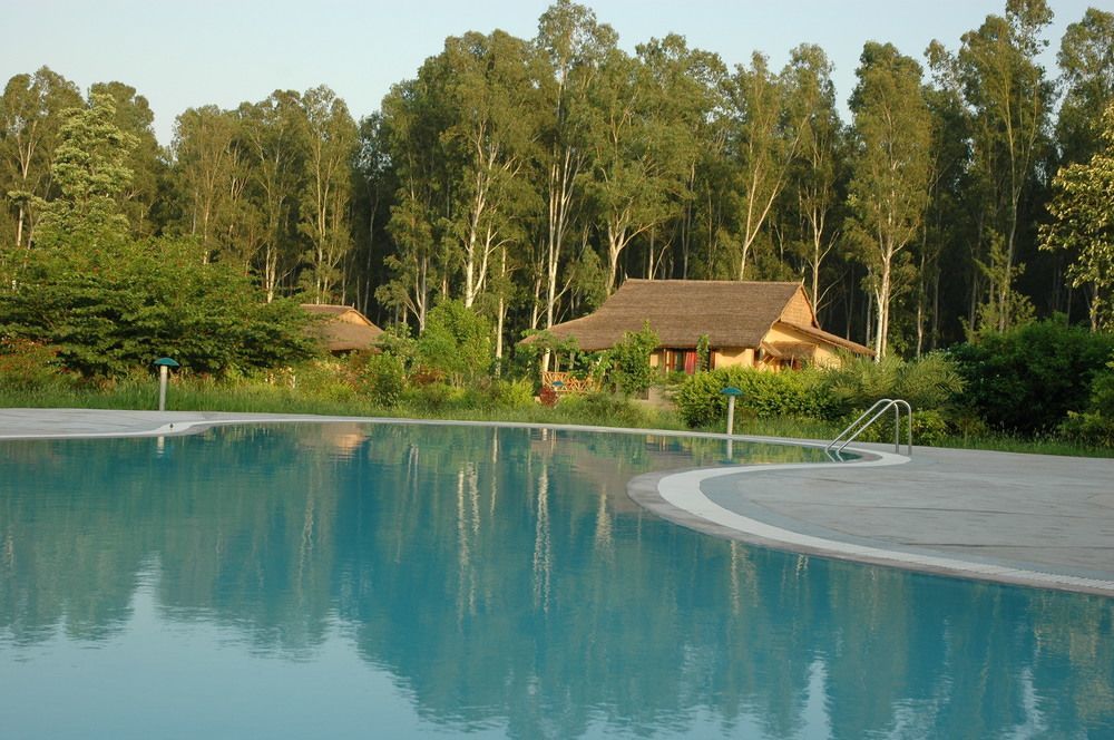 Hotel Jim'S Jungle Retreat Ramnagar  Esterno foto