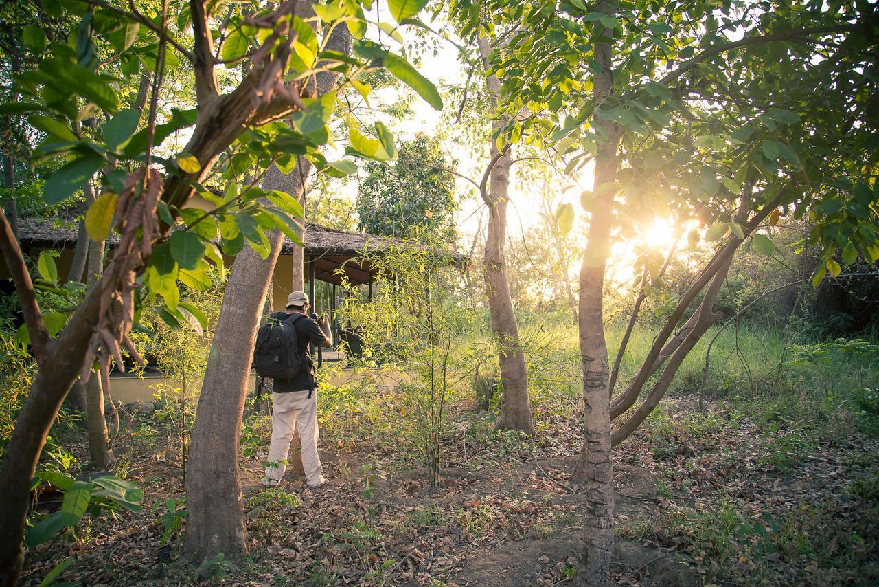 Hotel Jim'S Jungle Retreat Ramnagar  Esterno foto