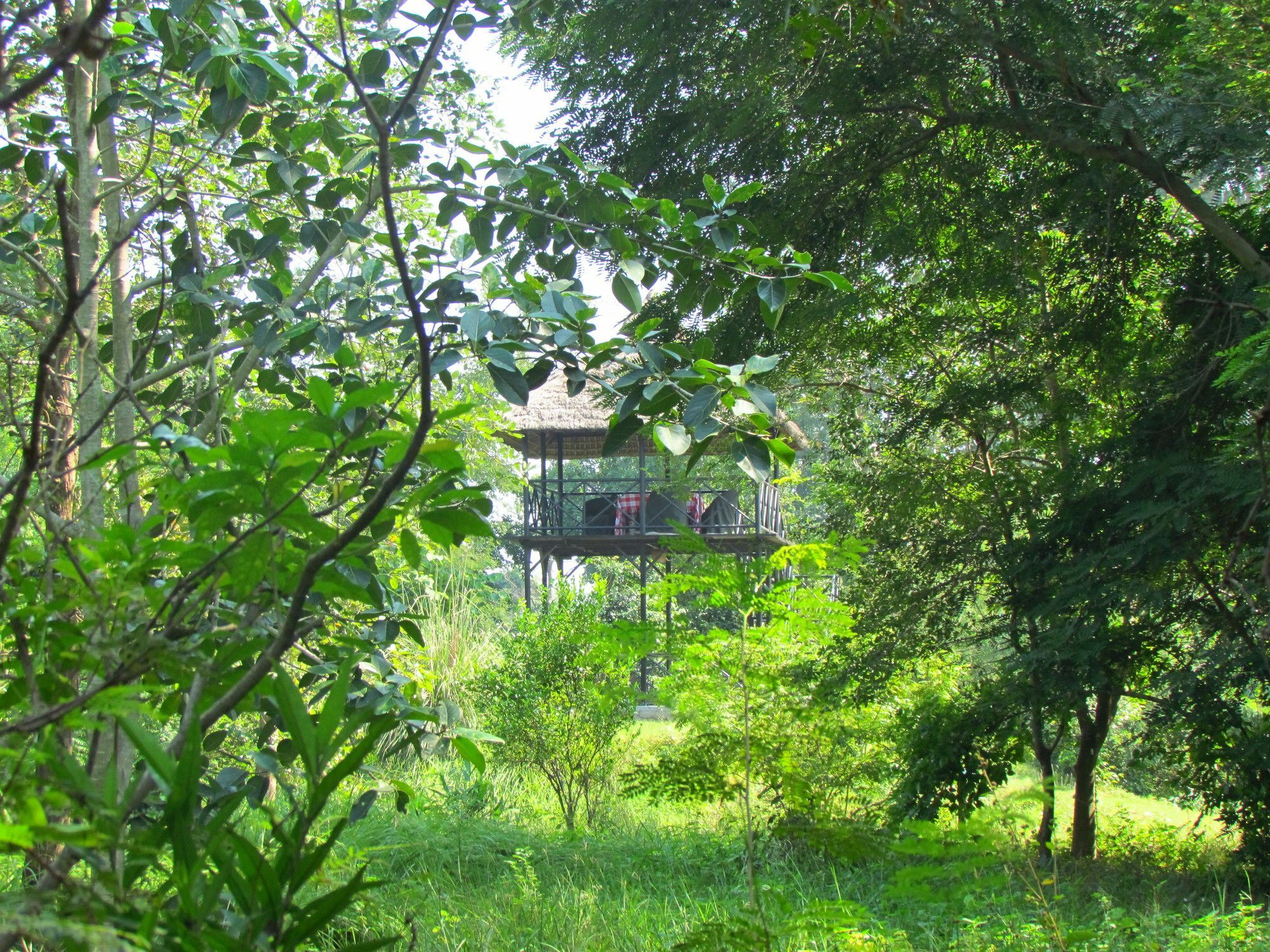 Hotel Jim'S Jungle Retreat Ramnagar  Esterno foto