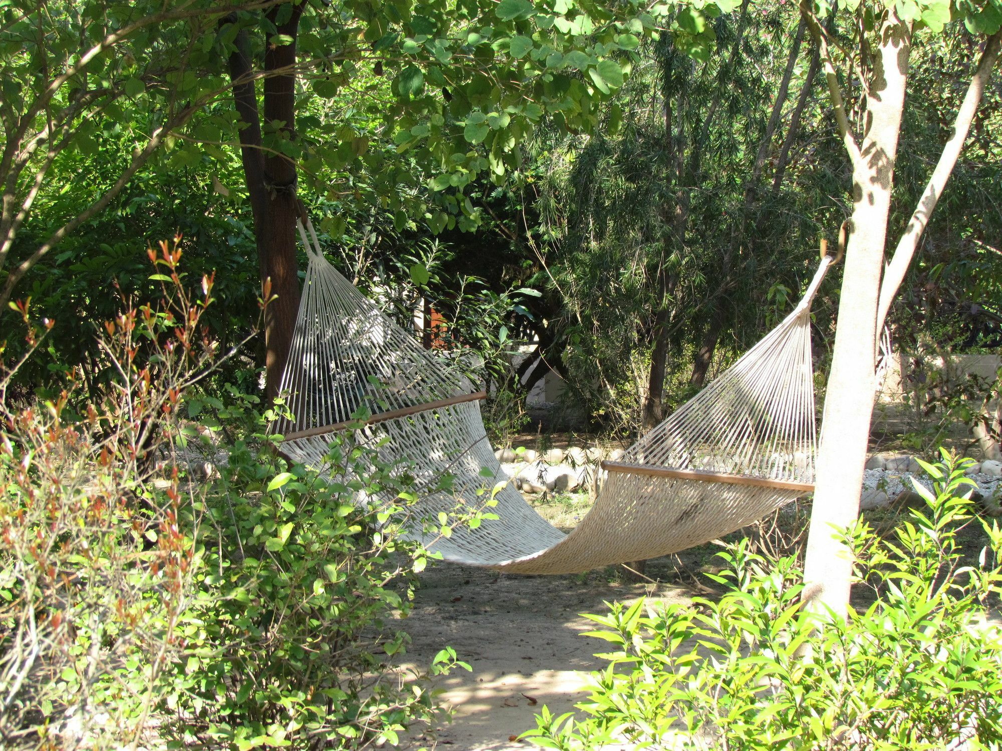 Hotel Jim'S Jungle Retreat Ramnagar  Esterno foto